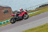 PJ-Motorsport-2019;anglesey-no-limits-trackday;anglesey-photographs;anglesey-trackday-photographs;enduro-digital-images;event-digital-images;eventdigitalimages;no-limits-trackdays;peter-wileman-photography;racing-digital-images;trac-mon;trackday-digital-images;trackday-photos;ty-croes